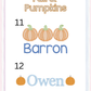 Boys Fall/Pumpkins (Multiple Options)