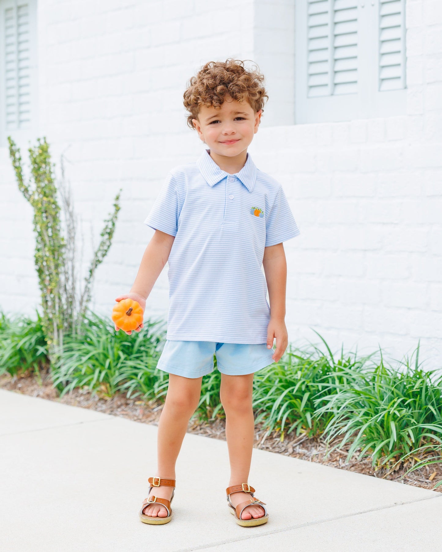 Harvest Trio Polo