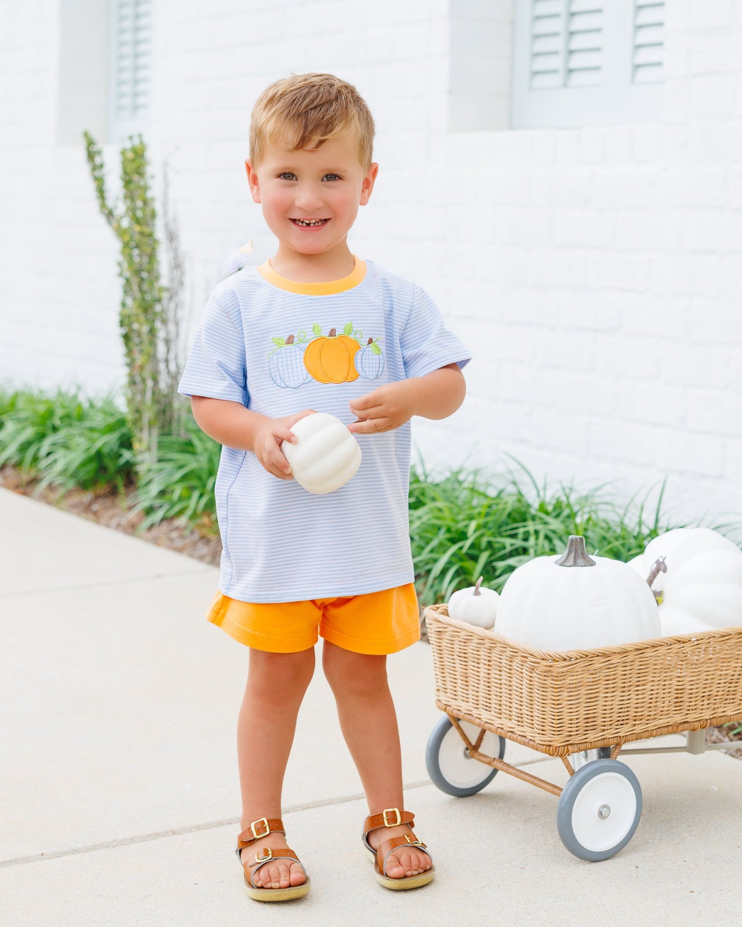 Harvest Trio Short Set