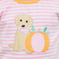 Pumpkins and Paws Bloomer Set