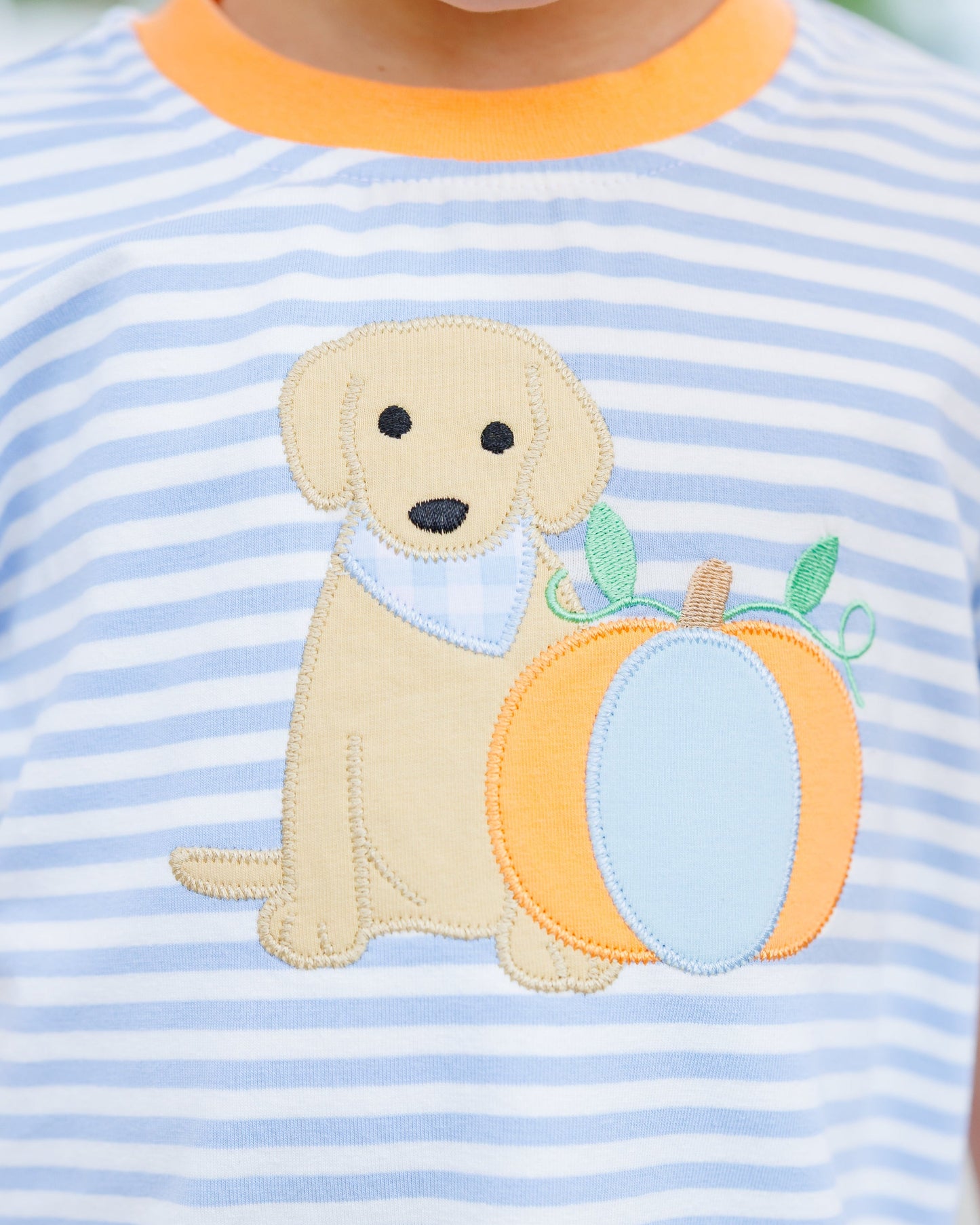 Pumpkins and Paws Short Set